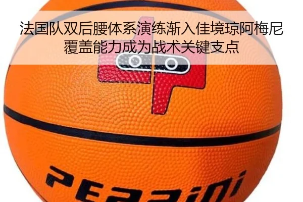 法国队双后腰体系演练渐入佳境琼阿梅尼覆盖能力成为战术关键支点